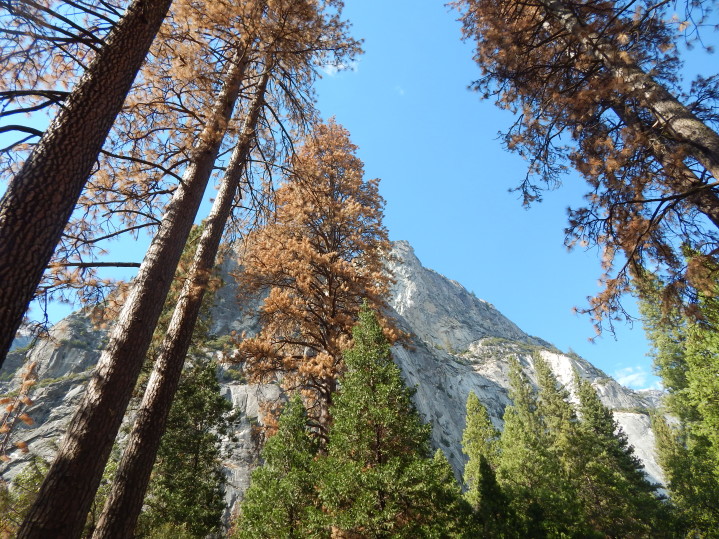 Visitare lo Yosemite National Park