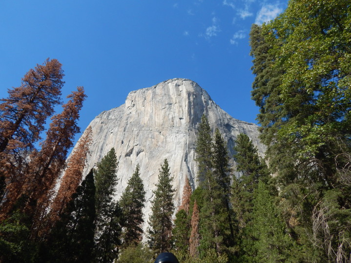 Visitare lo Yosemite National Park