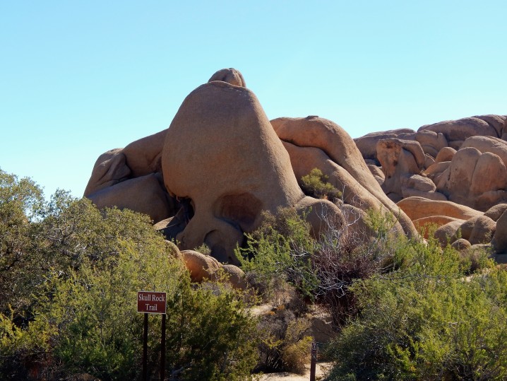 Palm Springs The Joshua Tree National Park