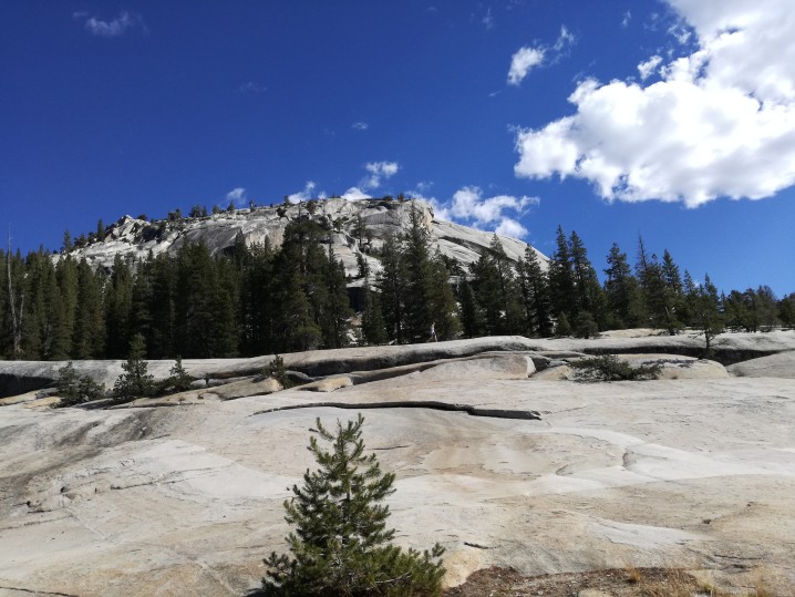 Visitare lo Yosemite National Park