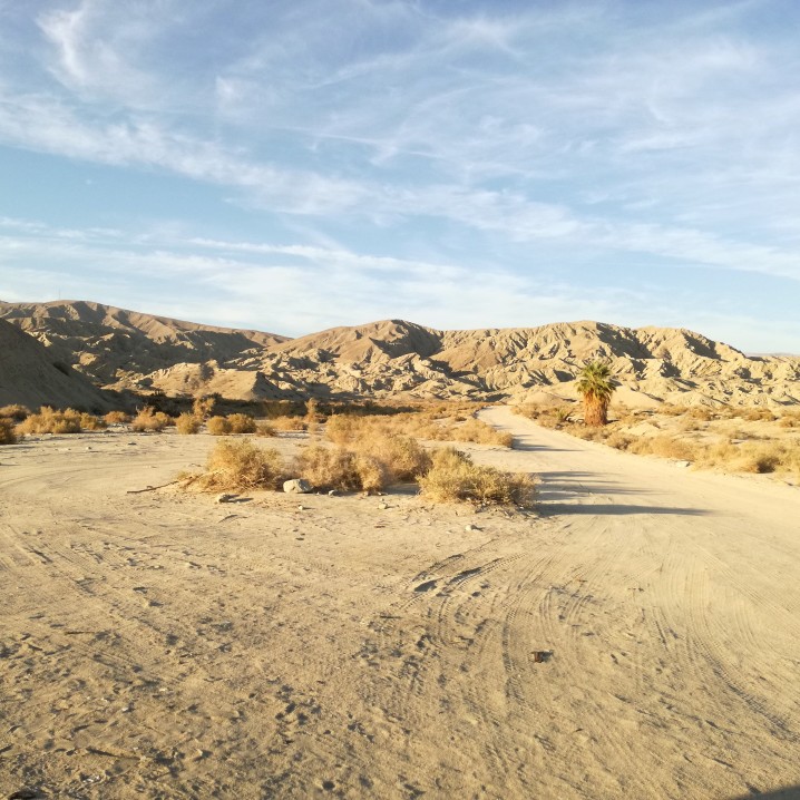 Palm Springs The Joshua Tree National Park