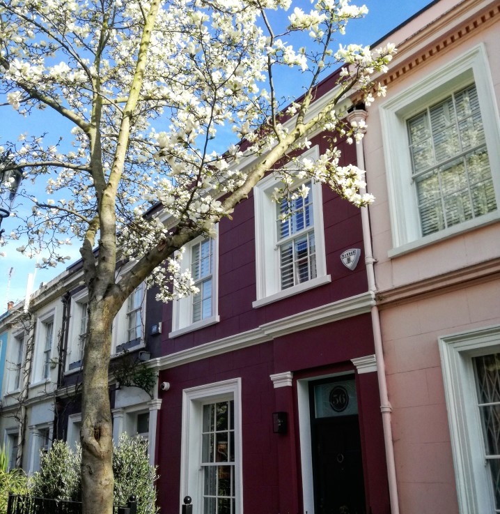 Notting HIll itinerario Londra