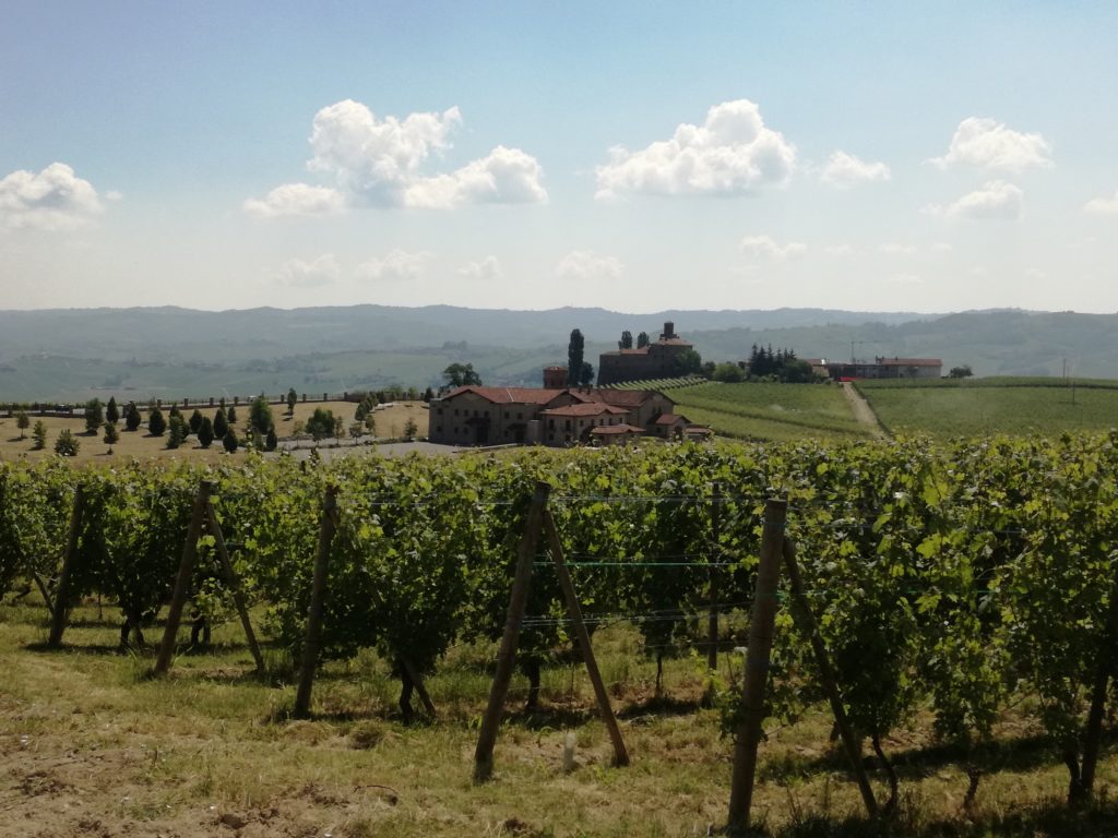 laghe-dove-mangiare-barolo-neive