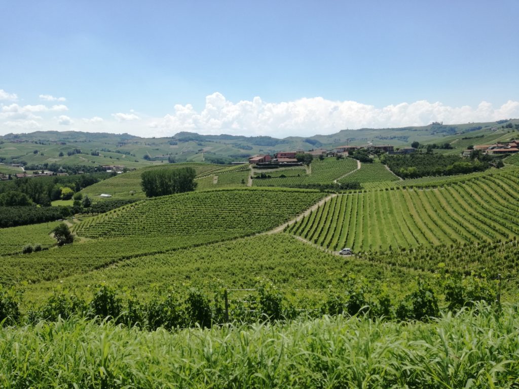 laghe-dove-mangiare-barolo-neive