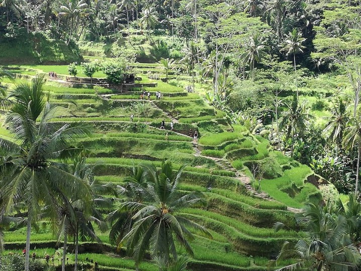 Bali isola degli Dei Itinerario Bali 12 giorni