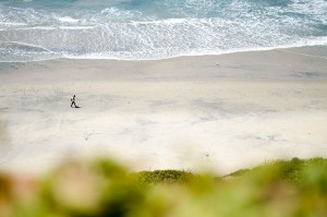 california-sandiego-spiagge