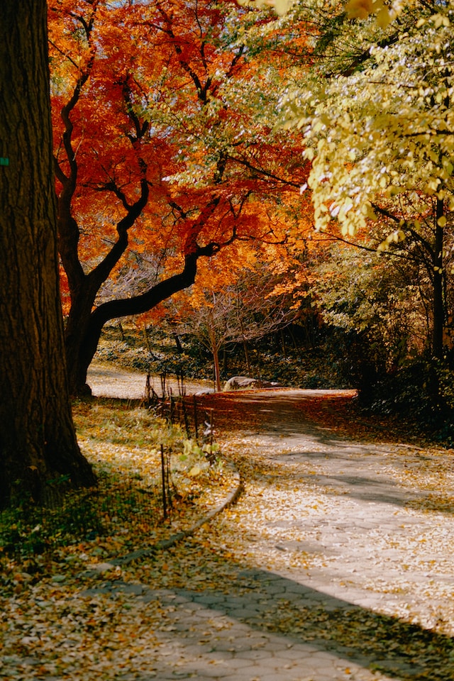 luoghi-foliage-newyork-autunno