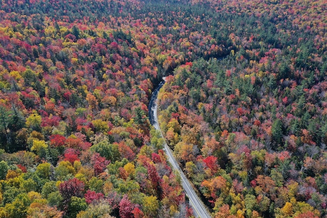 dove-andare-autunno-statiuniti