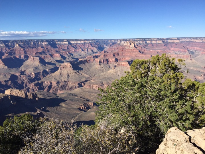 grand-canyon-south-rim informazioni utili