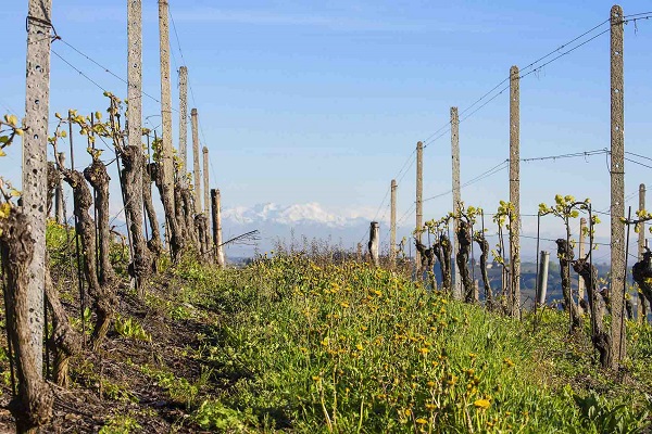 hotel-con-spa-langhe-monferrato-tre-poggi