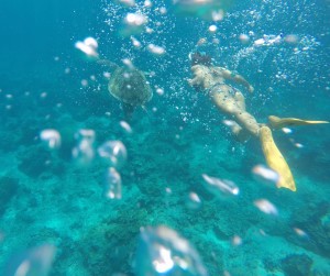 isole-gili-snorkeling-bali