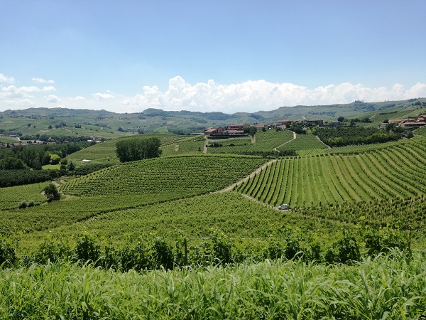 Weekend-romantico-langhe-cosa-visitare