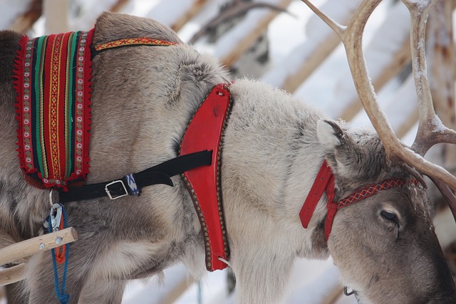 rovaniemi-santa-claus-village