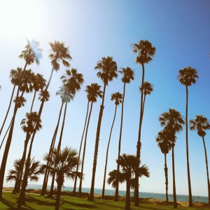Visitare Santa Barbara e le spiagge California