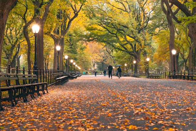 stati-uniti-autunno-newyork-cosa-vedere