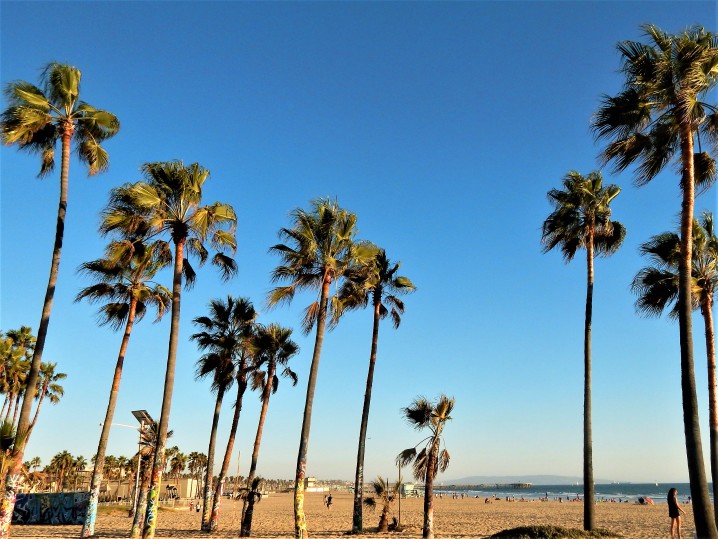 dove-dormire-los-angeles-venice-beach