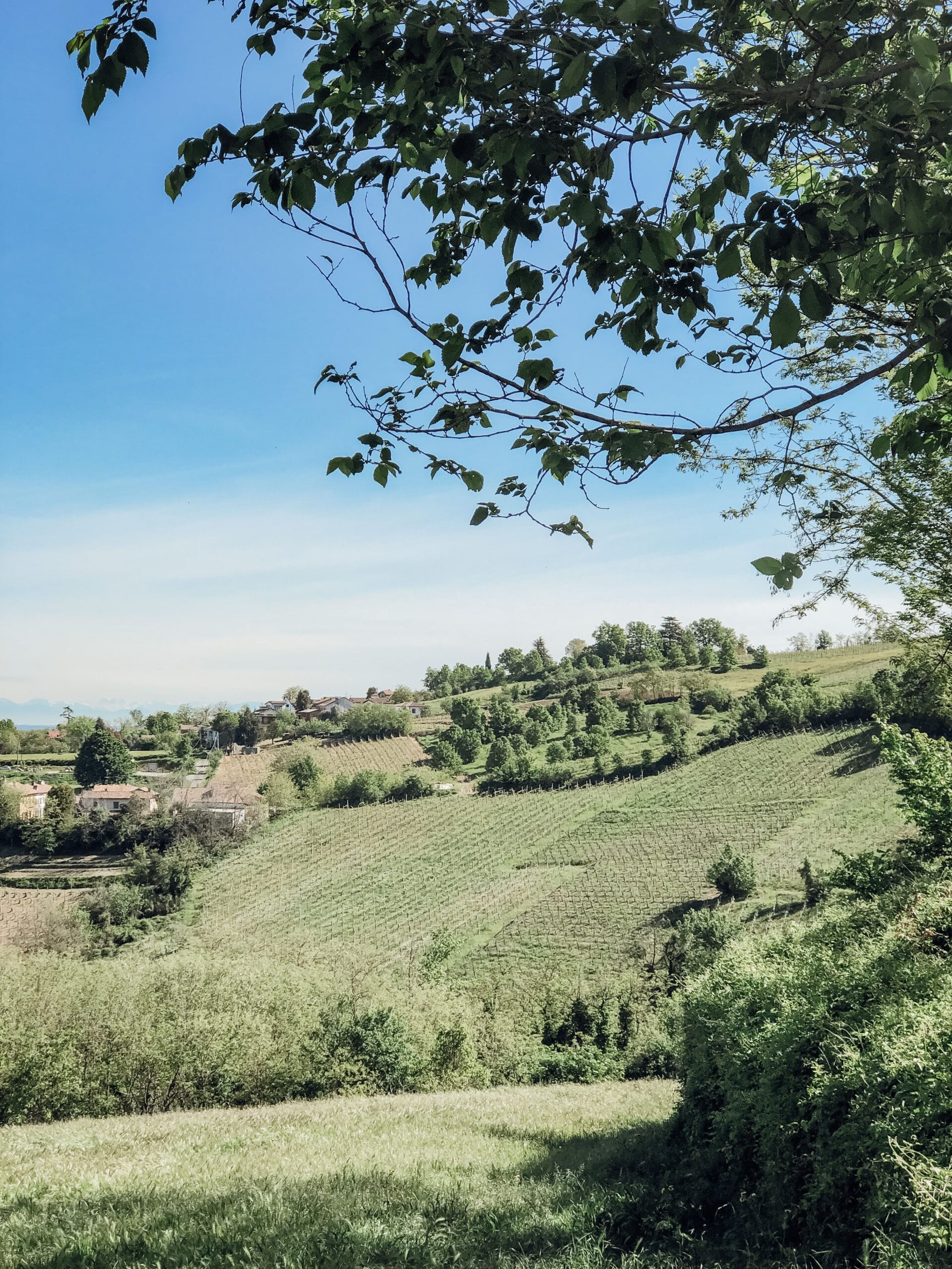 weelend-oltrepo-pavese-cosa-vedere-borghi